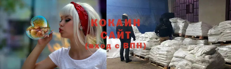 COCAIN Fish Scale  shop какой сайт  Дзержинский 